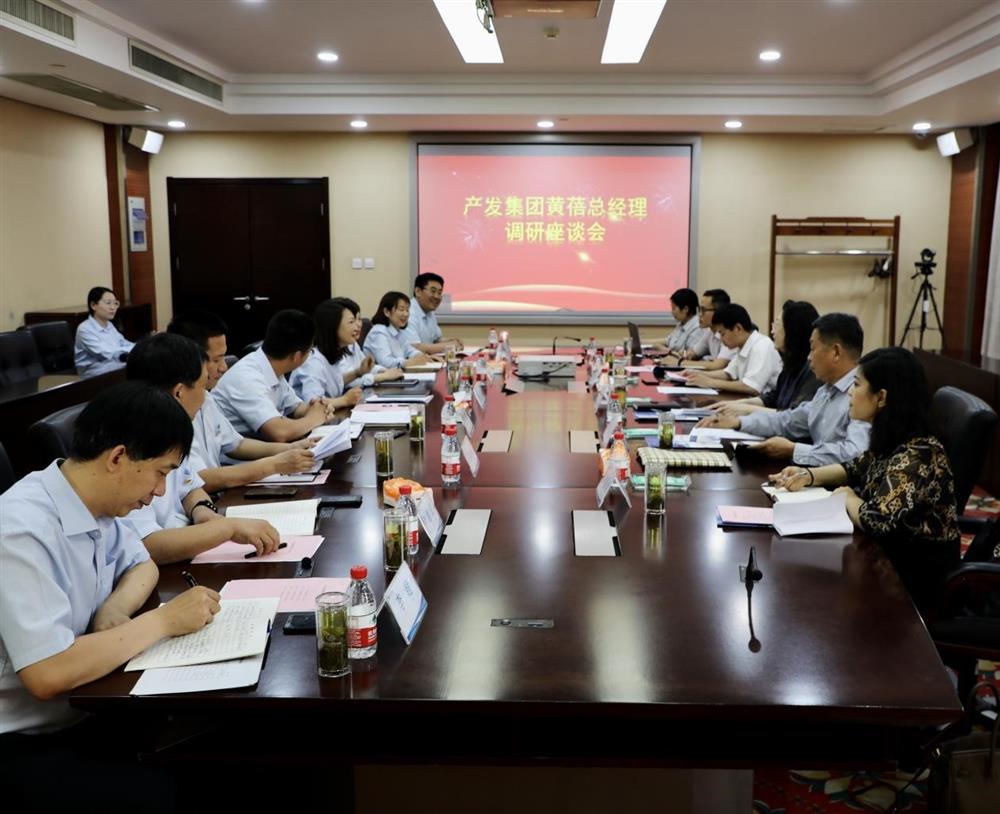 集團黨委副書記、總經(jīng)理黃蓓帶隊調(diào)研濟南市工程咨詢院