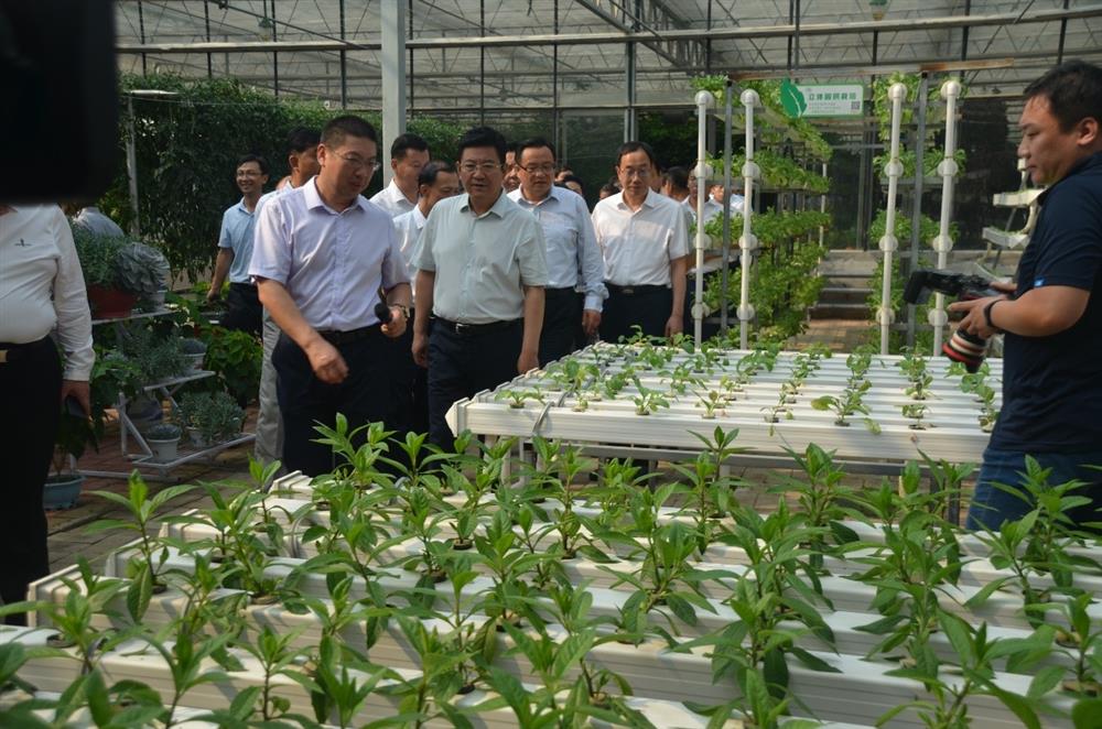 科技助農(nóng)，播撒光的種子  精準(zhǔn)扶貧，助力鄉(xiāng)村振興